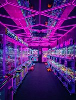 game crypto 8Day